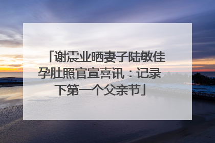 谢震业晒妻子陆敏佳孕肚照官宣喜讯：记录下第一个父亲节