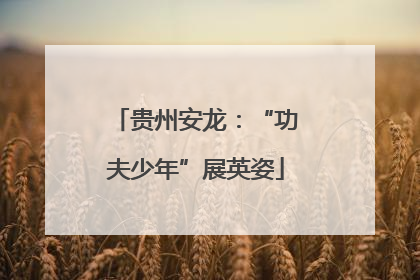 贵州安龙：“功夫少年”展英姿