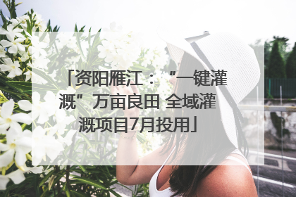 资阳雁江：“一键灌溉”万亩良田 全域灌溉项目7月投用