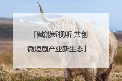 赋能新视听 共创微短剧产业新生态