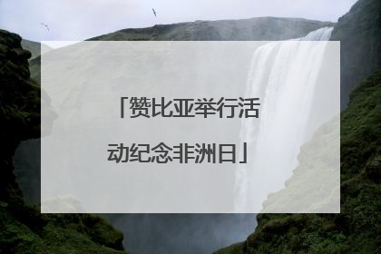 赞比亚举行活动纪念非洲日