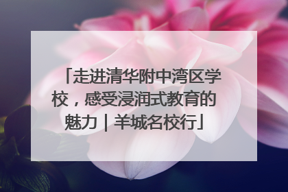 走进清华附中湾区学校，感受浸润式教育的魅力｜羊城名校行