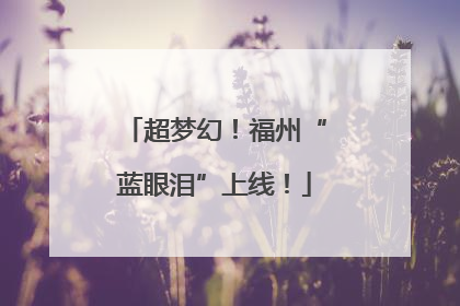 超梦幻！福州“蓝眼泪”上线！