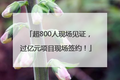 超800人现场见证，过亿元项目现场签约！
