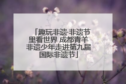 趣玩非遗·非遗节里看世界 成都青羊非遗少年走进第九届国际非遗节