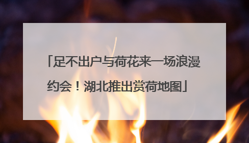 足不出户与荷花来一场浪漫约会！湖北推出赏荷地图