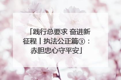 践行总要求 奋进新征程丨执法公正篇③：赤胆忠心守平安