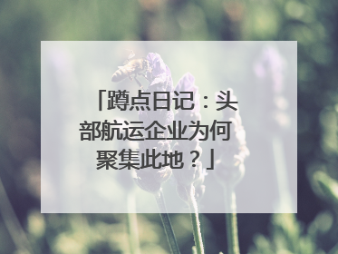 蹲点日记：头部航运企业为何聚集此地？