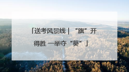 送考风景线｜“旗”开得胜 一举夺“葵”