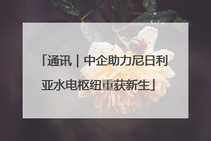 通讯｜中企助力尼日利亚水电枢纽重获新生