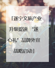 遂宁文旅产业升级提速 “遂心礼”品牌外宣战略启动