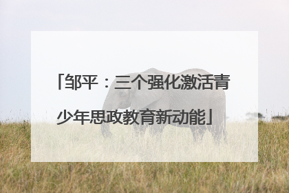 邹平：三个强化激活青少年思政教育新动能