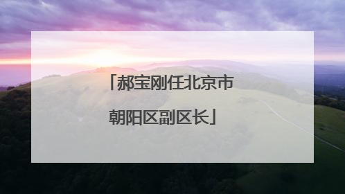 郝宝刚任北京市朝阳区副区长