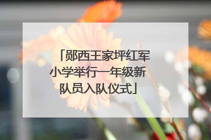 郧西王家坪红军小学举行一年级新队员入队仪式
