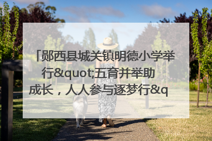 郧西县城关镇明德小学举行"五育并举助成长，人人参与逐梦行"庆六一活动