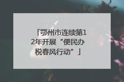 鄂州市连续第12年开展“便民办税春风行动”