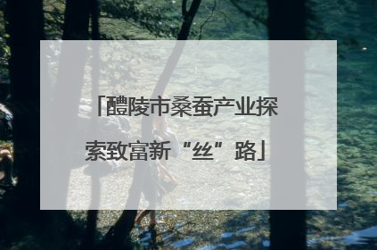醴陵市桑蚕产业探索致富新“丝”路