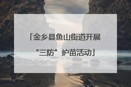 金乡县鱼山街道开展“三防”护苗活动