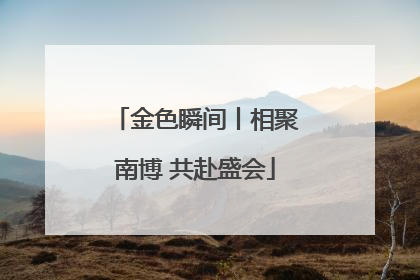 金色瞬间丨相聚南博 共赴盛会