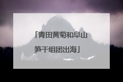青田黄菊和阜山笋干组团出海