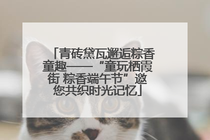 青砖黛瓦邂逅粽香童趣——“童玩栖霞街 粽香端午节”邀您共织时光记忆