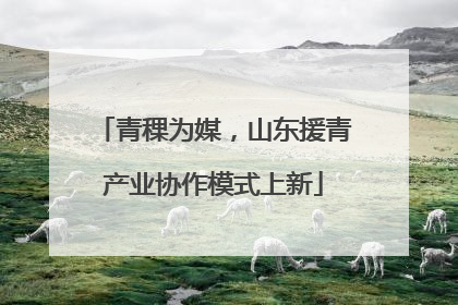 青稞为媒，山东援青产业协作模式上新