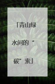 青山绿水间的“碳”索