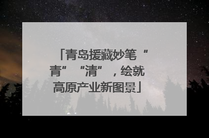 青岛援藏妙笔“青”“清”，绘就高原产业新图景