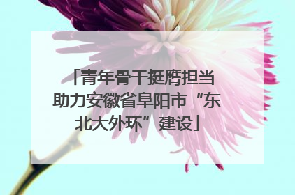 青年骨干挺膺担当 助力安徽省阜阳市“东北大外环”建设