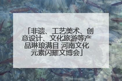 非遗、工艺美术、创意设计、文化旅游等产品琳琅满目 河南文化元素闪耀文博会