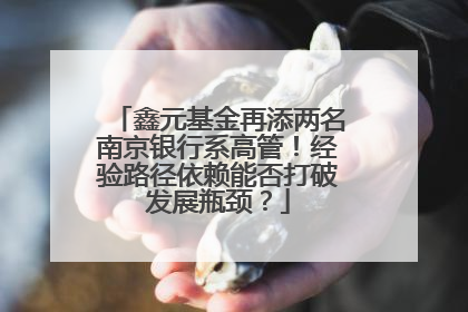 鑫元基金再添两名南京银行系高管！经验路径依赖能否打破发展瓶颈？