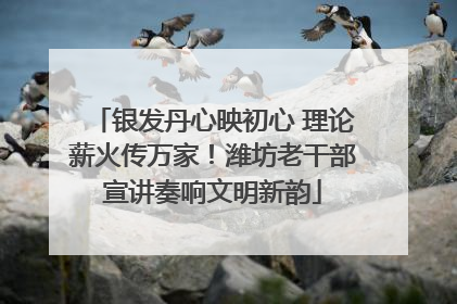 银发丹心映初心 理论薪火传万家！潍坊老干部宣讲奏响文明新韵