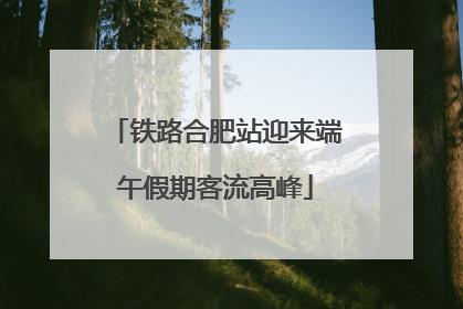 铁路合肥站迎来端午假期客流高峰