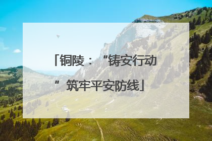 铜陵：“铸安行动”筑牢平安防线