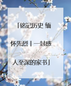 铭记历史 缅怀先烈丨一封感人至深的家书