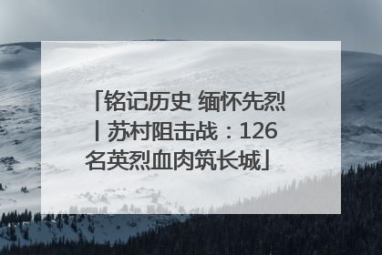 铭记历史 缅怀先烈丨苏村阻击战：126名英烈血肉筑长城