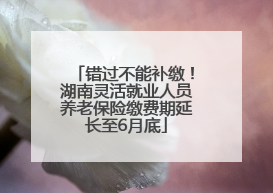 错过不能补缴！湖南灵活就业人员养老保险缴费期延长至6月底