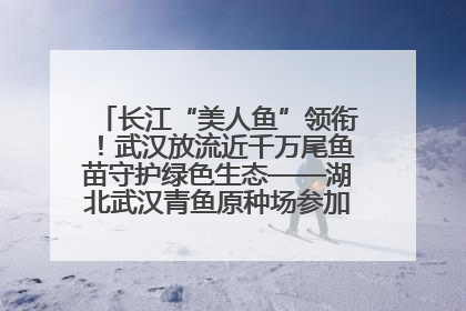 长江“美人鱼”领衔！武汉放流近千万尾鱼苗守护绿色生态——湖北武汉青鱼原种场参加2025年“全国放鱼日”增殖放流活动