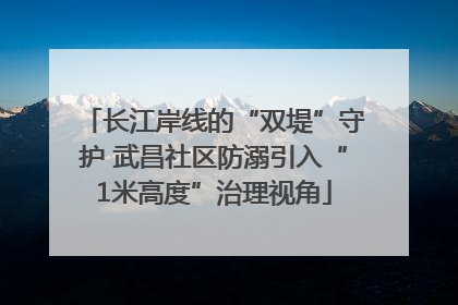 长江岸线的“双堤”守护 武昌社区防溺引入“1米高度”治理视角