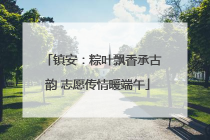 镇安：粽叶飘香承古韵 志愿传情暖端午
