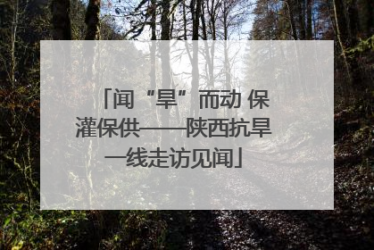 闻“旱”而动 保灌保供——陕西抗旱一线走访见闻
