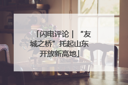 闪电评论｜“友城之桥”托起山东开放新高地