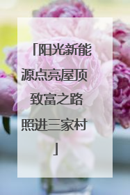 阳光新能源点亮屋顶 致富之路照进三家村