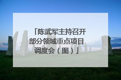 陈武军主持召开部分领域重点项目调度会（图）