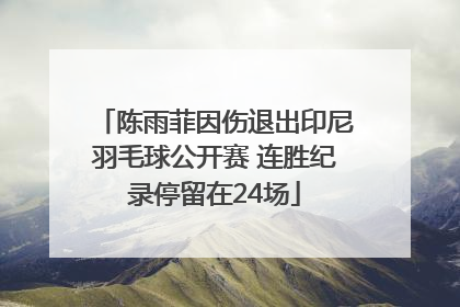 陈雨菲因伤退出印尼羽毛球公开赛 连胜纪录停留在24场