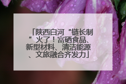 陕西白河“链长制”火了！富硒食品、新型材料、清洁能源、文旅融合齐发力