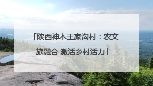 陕西神木王家沟村：农文旅融合 激活乡村活力