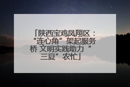 陕西宝鸡凤翔区：“连心角”架起服务桥 文明实践助力“三夏”农忙
