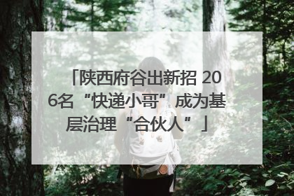 陕西府谷出新招 206名“快递小哥”成为基层治理“合伙人”