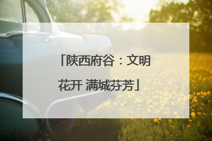 陕西府谷：文明花开 满城芬芳
